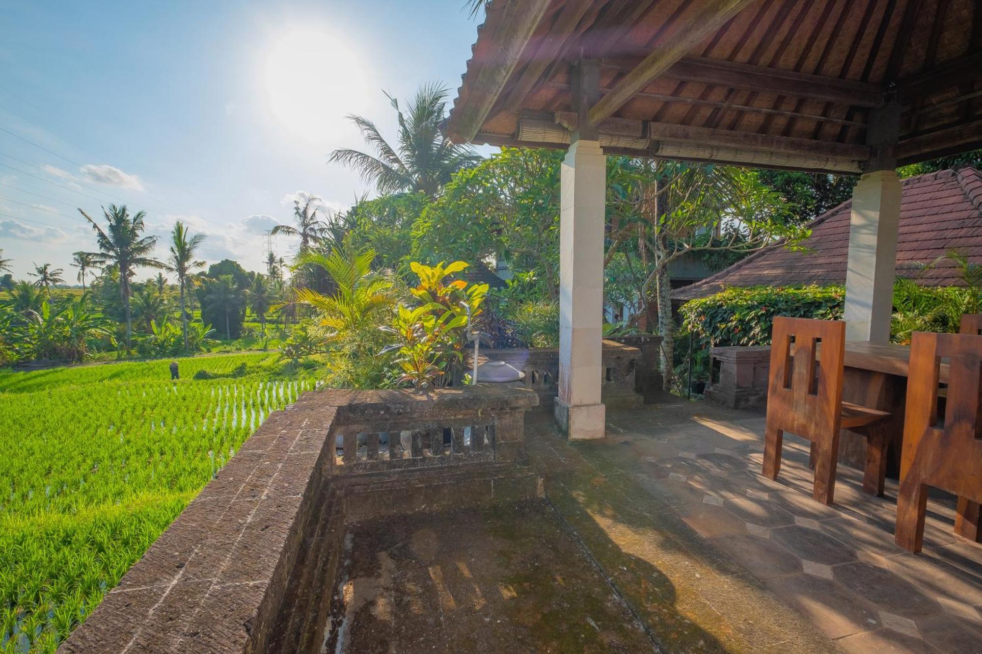Puri Cili Villa Ubud Екстер'єр фото